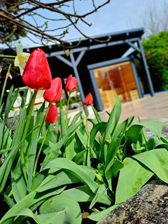 Fuege Villa Luxury & Wellness บาลาตอนฟือเรด ภายนอก รูปภาพ